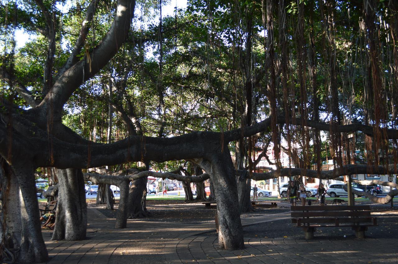 The Lahaina Beach House Hostel Exterior photo